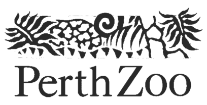 View case study logo